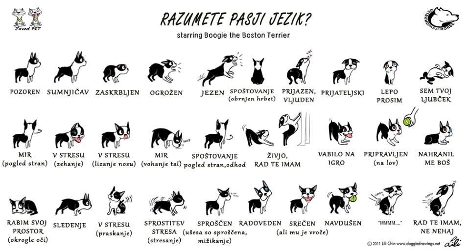 Miritveni signali pri psih